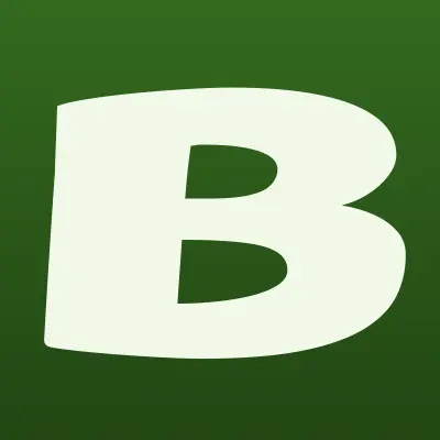 Башкирская сетевая компания, лого-визитка