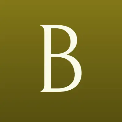 Башкирский государственный университет, лого-визитка