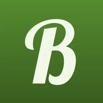 Bronx, лого-визитка