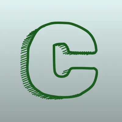 Custom Solution Studio, лого-визитка