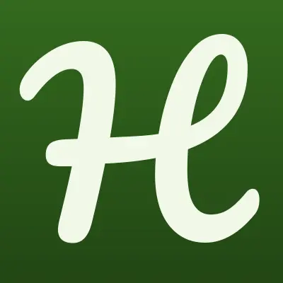 Hybrid Service Ufa, лого-визитка