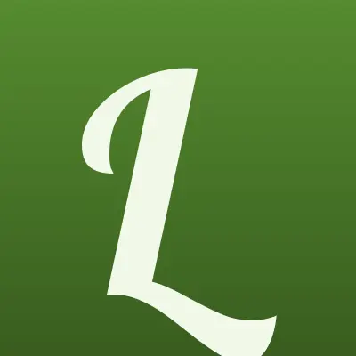 ЛОНМАДИ, торговая компания, лого-визитка