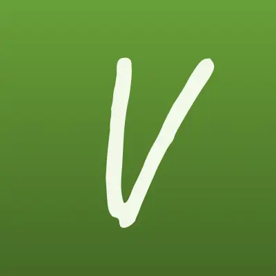 Viva деньги, микрофинансовая организация, лого-визитка